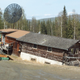 A private house north of Fairbanks is unevenly sinking into thawing ice-rich permafrost.